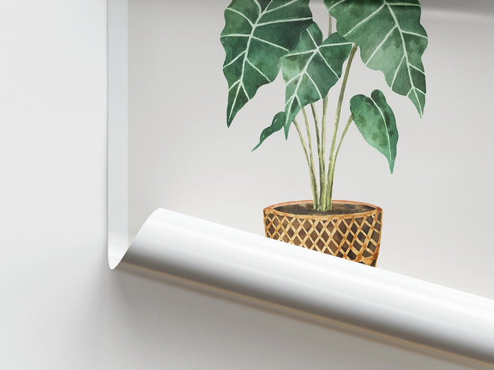 Tropical Alocasia Plant Print, Colourful Tropical Leaves Wall Art, Botanical Rainforest Poster, Wild Nature Foliage Living Room Home Decor