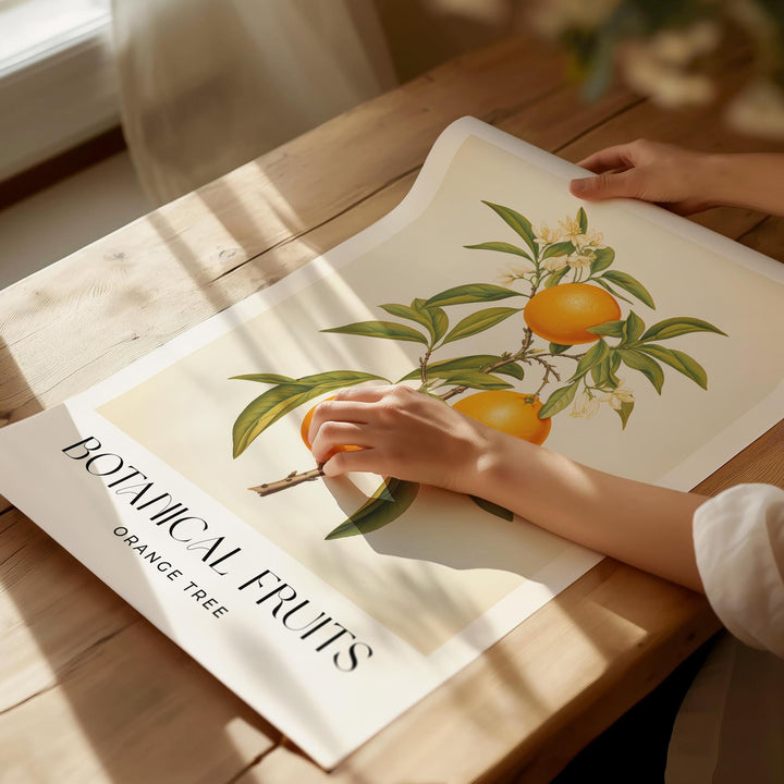 Orange Tree Botanical Print, Oranges Fruit Illustration, Farmhouse Kitchen Decor Wall Art, Vintage Citrus Fruit Market Poster, Foodie Gift